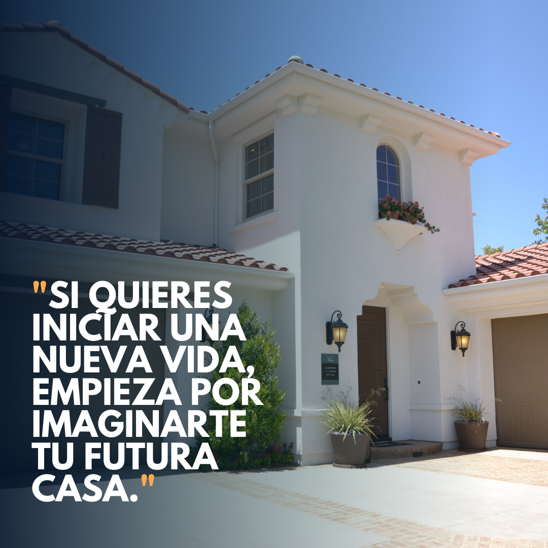 Sales & Rentals